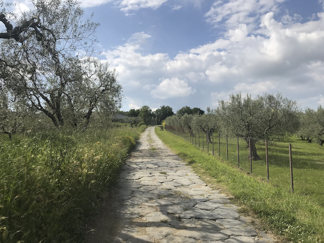 Via Cassia near Montefiascone